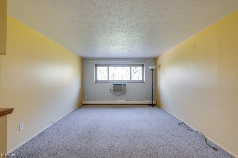 115 Rocky River Drive #303, Berea, OH - Photo 5