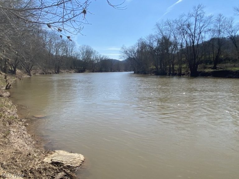 988 Young Lane, Elizabeth, WV - Photo 3
