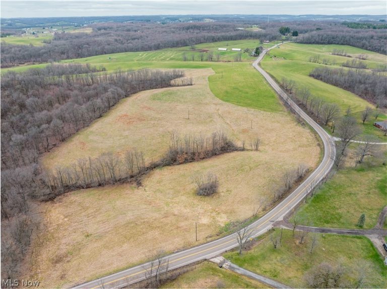 SR-516, Dundee, OH - Photo 3