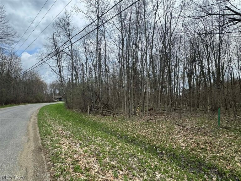 1753 Morning Star Drive, Roaming Shores, OH - Photo 4