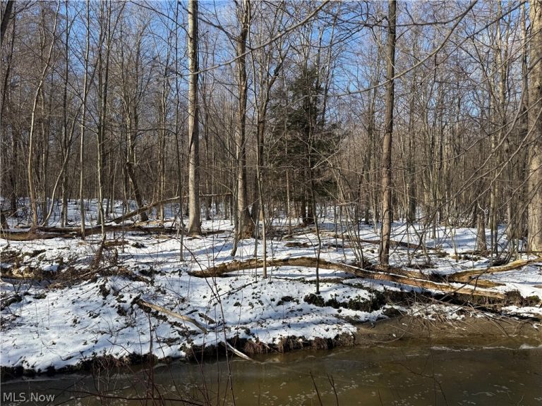 3117 Sweet Road, Conneaut, OH - Photo 3