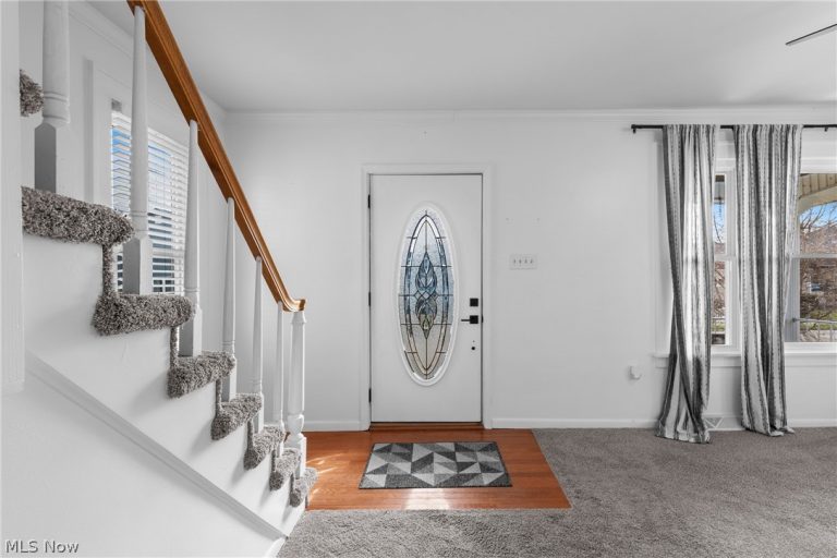 249 42nd Street, Shadyside, OH - Photo 8