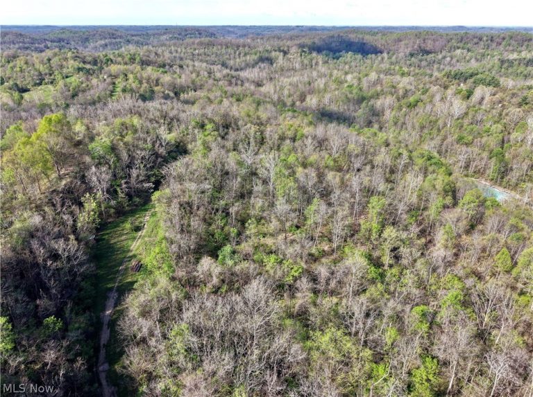 Harrons Ridge Road, Dexter City, OH, 45727