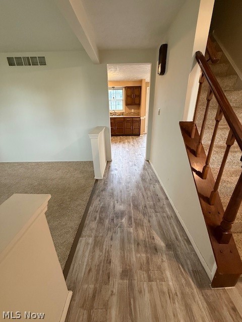 6884 Slippery Rock Drive, Canfield, OH - Photo 5