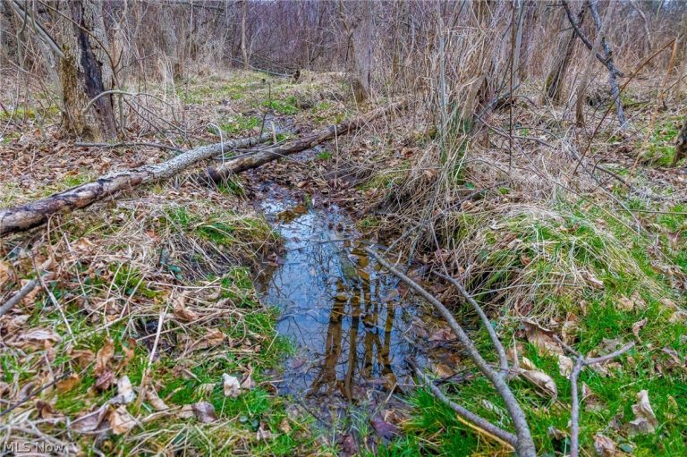 Pigeon Run Avenue, Navarre, OH - Photo 6
