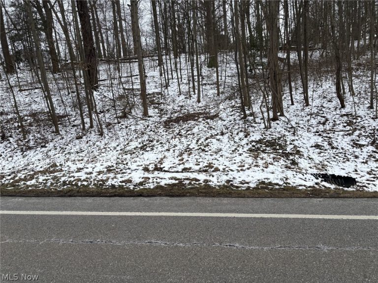 Oh-93, Dundee, OH - Photo 4