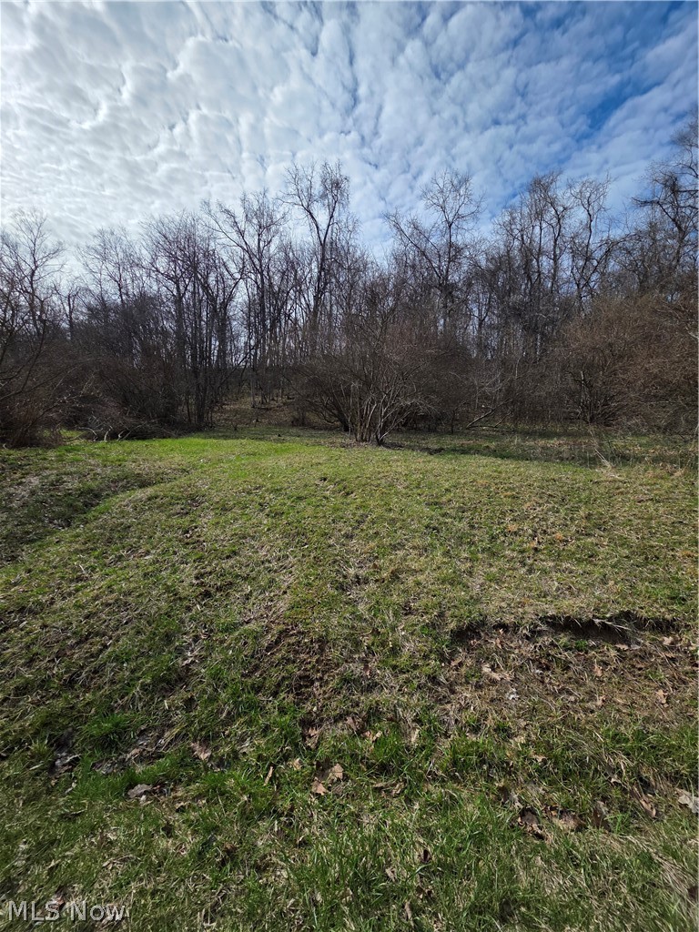 Iroquois Trail, Senecaville, OH - Photo 4