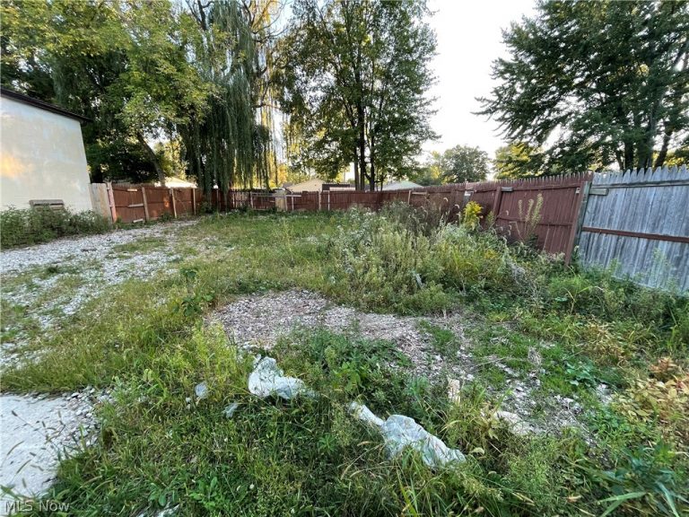 193 Brace, Elyria, OH - Photo 4