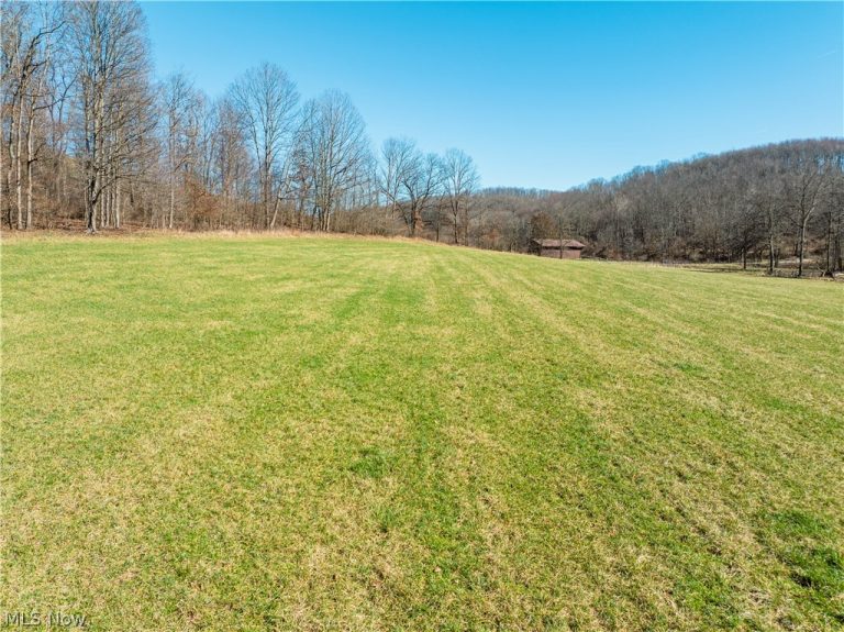 Eckley Road, Jewett, OH - Photo 8