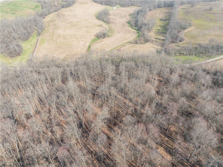 Coal Road, Fresno, OH - Photo 3