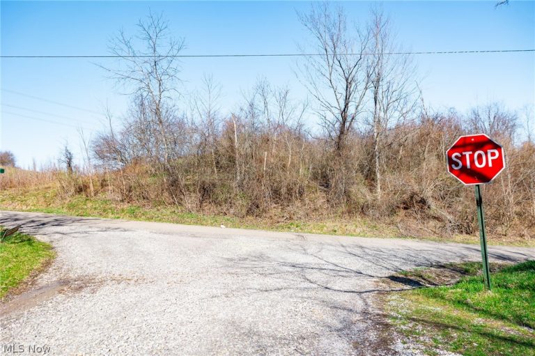 Township Road 135, Dillonvale, OH - Photo 5