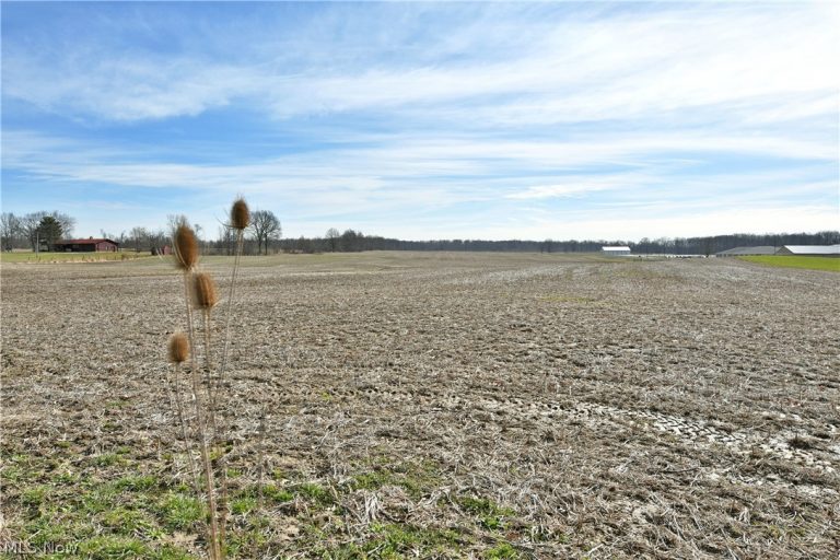 2506 State Route 534, Southington, OH - Photo 2