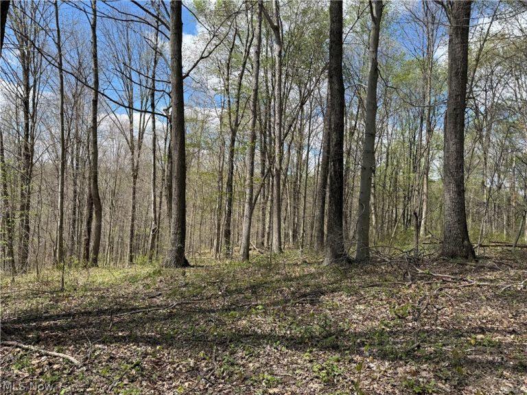 Plainview Road, Woodsfield, OH - Photo 5