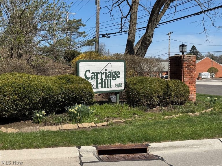 6910 Carriage Hill Drive #202, Brecksville, OH - Photo 2