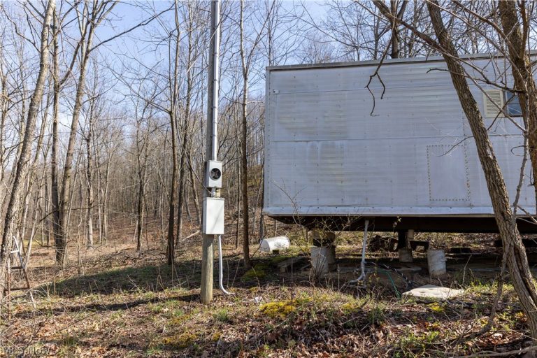 505 Back Run Road, Philo, OH - Photo 2