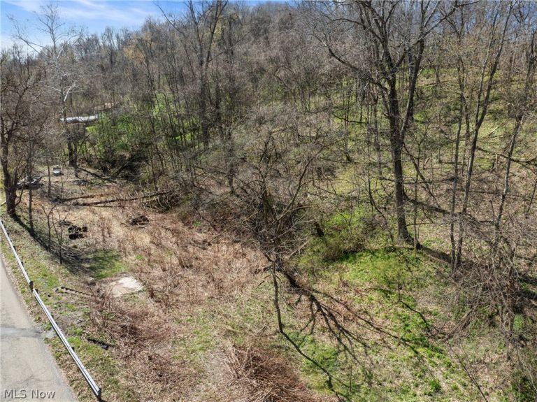 115 Township Road 501, Mingo Junction, OH - Photo 6