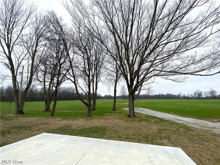 11940 State Route 58, Oberlin, OH - Photo 4