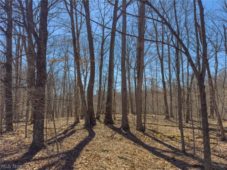 Stoneburner Road, Crooksville, OH - Photo 8