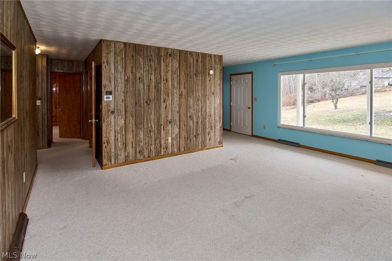 613 Court Street, Harrisville, WV - Photo 6