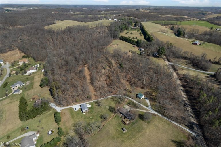 Boy Scout Road, Dover, OH - Photo 4