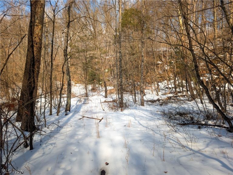 0 Tract 13 Ayers Ridge, Lower Salem, OH - Photo 8