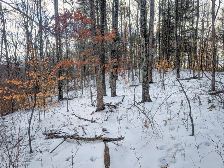 0 Tract 13 Ayers Ridge, Lower Salem, OH - Photo 2