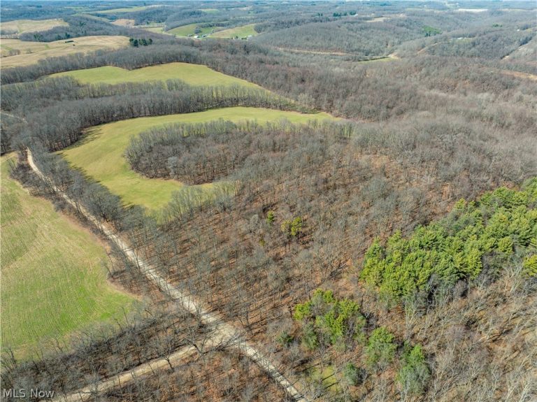 Burrier Road, Jewett, OH - Photo 2