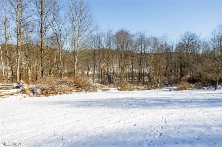 Avon Road, Carrollton, OH - Photo 8