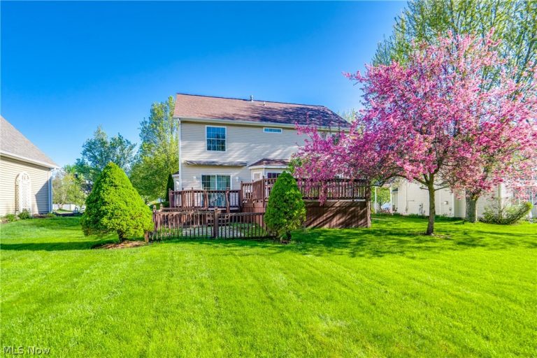 6124 Champagne Shores, Medina, OH - Photo 4