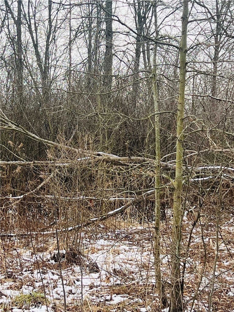 Lot 134 Breezewood Lane, Orwell, OH - Photo 3