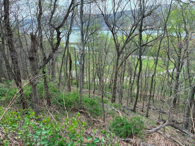 Ohio River Blvd, New Cumberland, WV - Photo 5