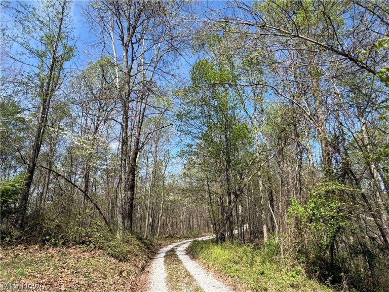 183 Varner Street, Walker, WV - Photo 8