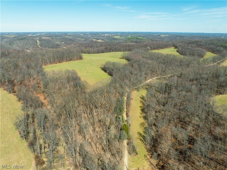 Burrier Road, Jewett, OH - Photo 3