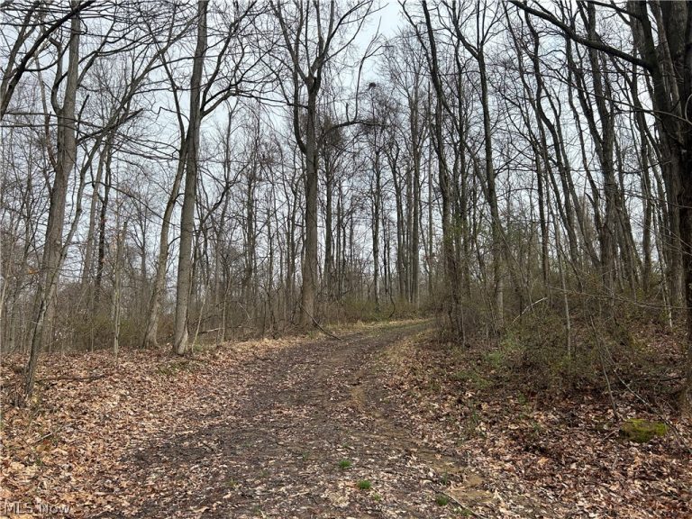 Wilbur Bush Road, Crooksville, OH - Photo 2