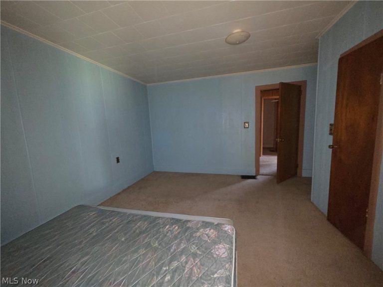 54990 Maple Avenue, Bridgeport, OH - Photo 8
