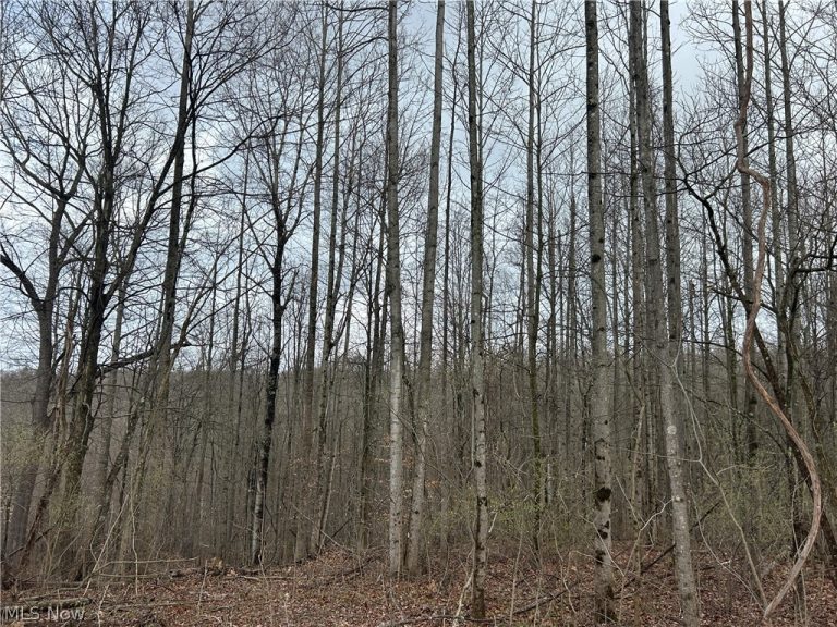 Wilbur Bush Road, Crooksville, OH - Photo 3