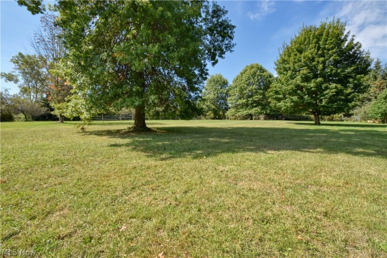 13354 Aquilla Road, Chardon, OH - Photo 6
