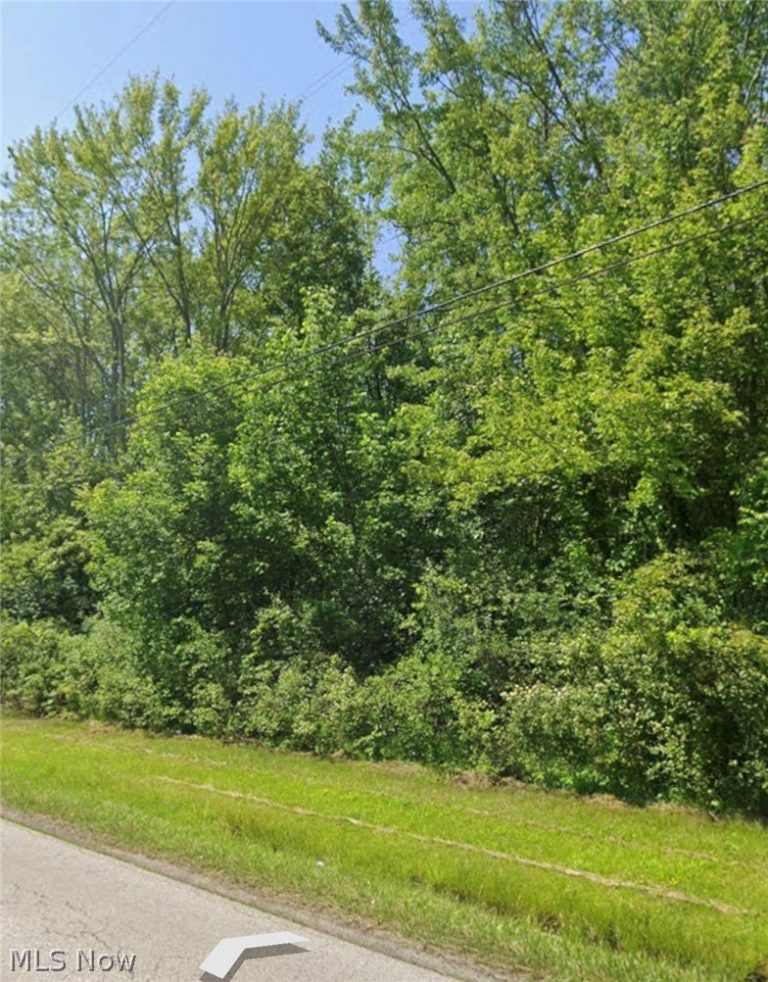 Wade Avenue, Ashtabula, OH - Photo 5