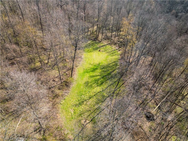6706 Township Road 323 Road, Millersburg, OH - Photo 2