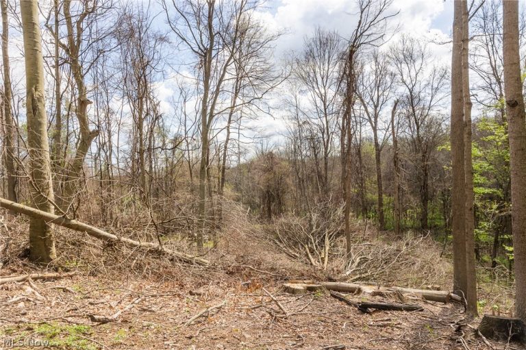 105 Hanley Road, Mansfield, OH - Photo 8