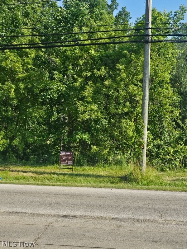 Carpenter 19th Road, Ashtabula, OH - Photo 4