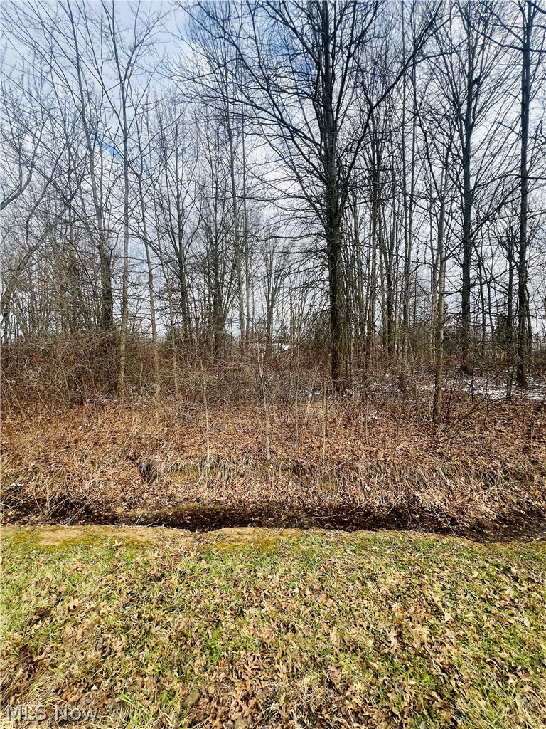Lot 113 Breezewood Lane, Orwell, OH - Photo 4