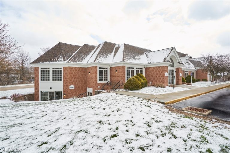 799 White Pond Drive #E, Akron, OH, 44320