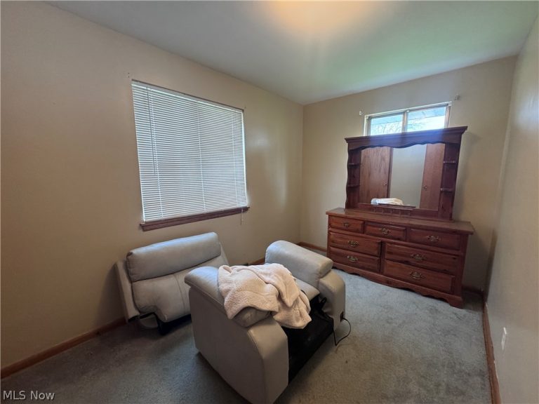 8974-8978 Wilverne Drive, Windham, OH - Photo 8