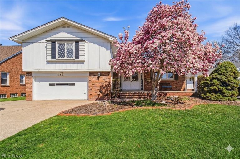 131 194th Street, Euclid, OH, 44119