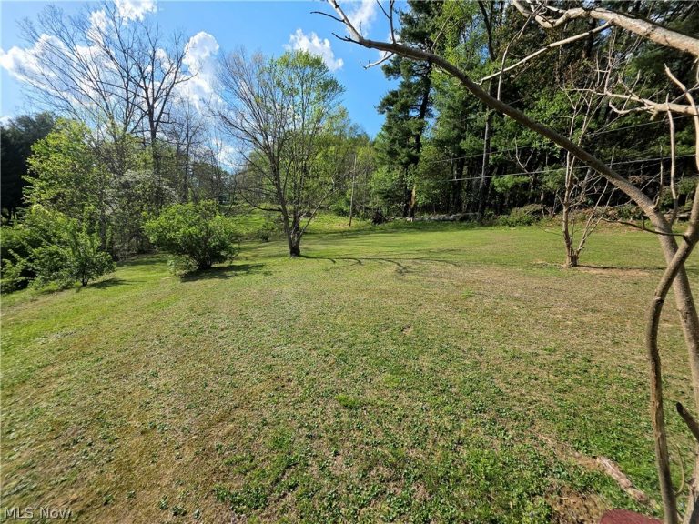 46242 County Road 501, Coshocton, OH - Photo 3