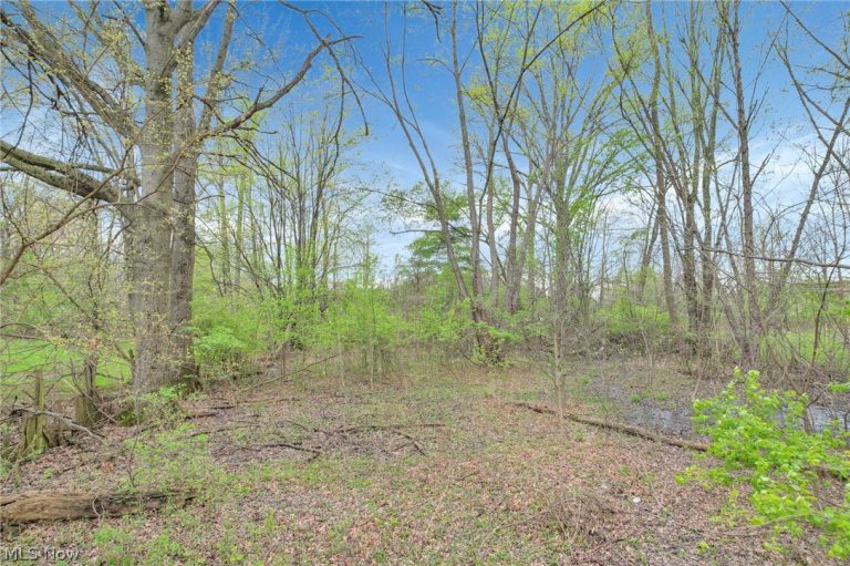 2423 Stelzer Road, Columbus, OH - Photo 5