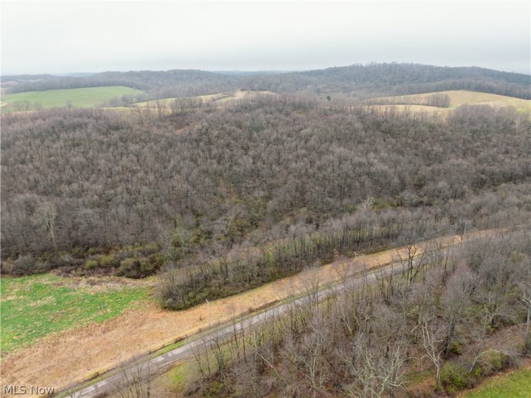 Buck Hill Road, Frazeysburg, OH, 43822