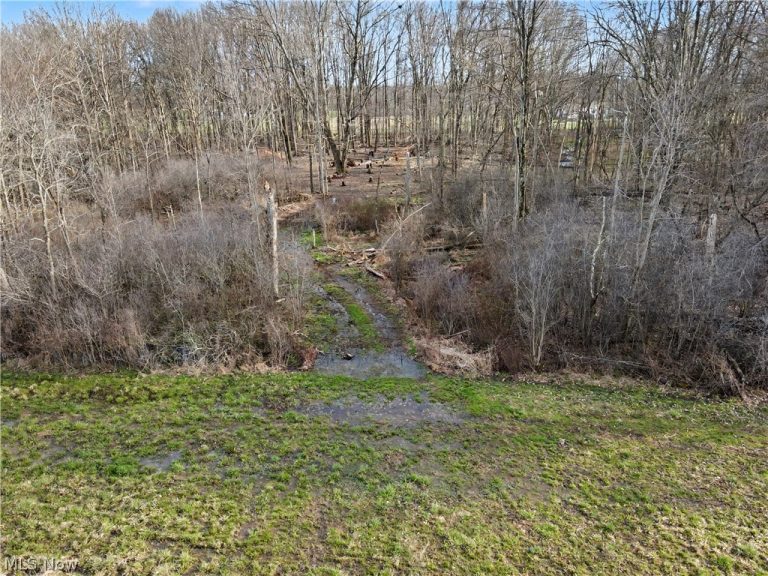 24865 Center Avenue, Alliance, OH - Photo 5