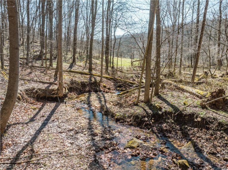 Township Road 34, Killbuck, OH - Photo 5